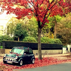 Herbst in Hamburg